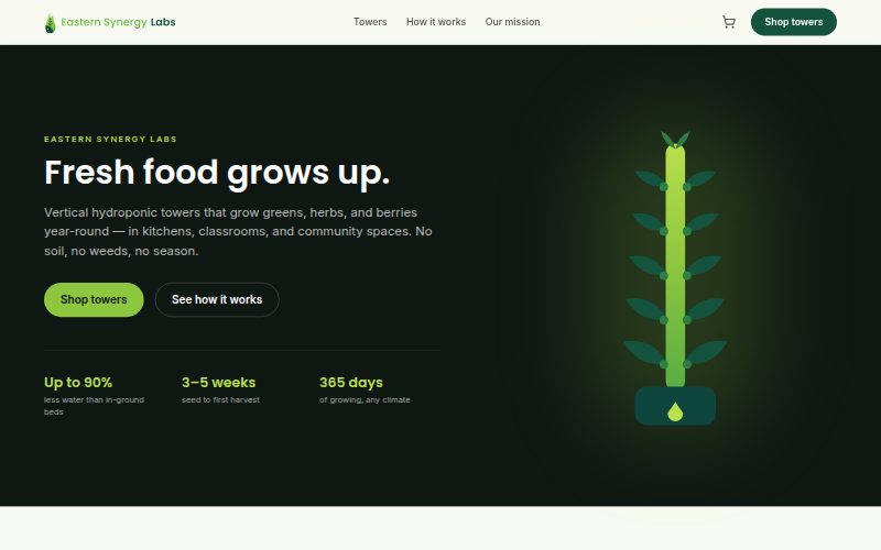 Screenshot of the Eastern Synergy Labs website